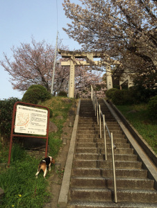 02
