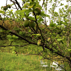image01