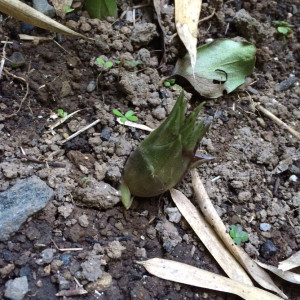 image01