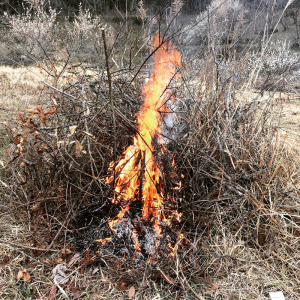 image02