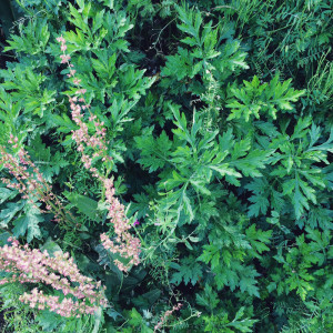 image02