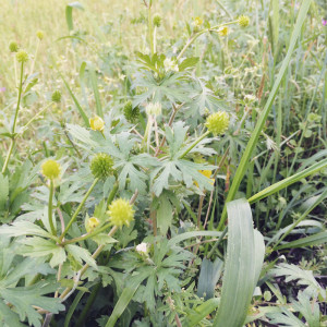 image03