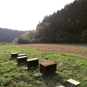 image04