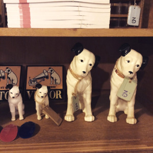 ■ニッパー犬■